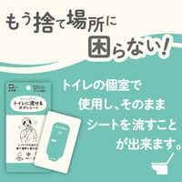 レック SRT 男性用 流せるボディシート ミントの香り C01259 1個（12枚入）