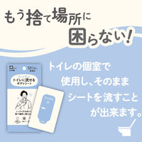 レック SRT 男性用 流せるボディシート 無香料 C01260 1個（12枚入）