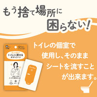 レック SRT 女性用 流せるボディシート シトラスの香り C01257 1個（12枚入）