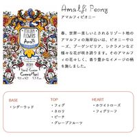 ル・マヨルカ ハンドウォッシュ アマルフィピオニー 500mL 1セット（1個×3）  【液体タイプ】 三和トレーディング