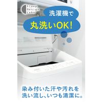 モリリン 洗える除湿パッド シングルサイズ S1025SE2 1枚