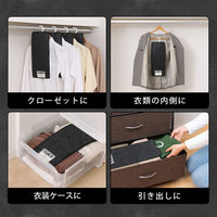 アストロ 消臭炭入D&D吸湿防ダニ吊り下げ除湿シート4枚組 615-39 1セット(4枚組×3)（直送品）