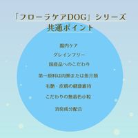 フローラケア グレインフリー 成犬用 国産 2.4kg（400g×6袋）1袋 スマック ドッグフード