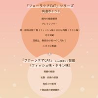 フローラケア グレインフリー 5つの健康ケア（腎臓の健康）チキン味 国産 600g（100g×6袋）1袋 スマック キャットフード