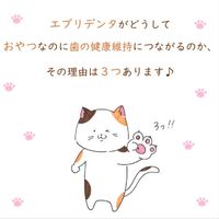 エブリデンタ 歯みがきおやつ チキン味 国産 30g（5g×6パック）1袋 スマック 猫用 おやつ