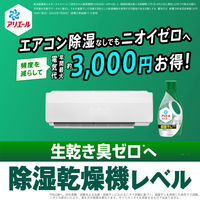 アリエール ジェル 部屋干しプラス 詰め替え 超ウルトラジャンボ 1.81kg 1個 洗濯洗剤 P＆G【旧品】