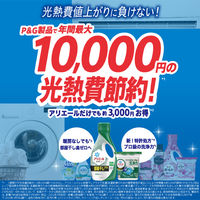 アリエール ジェル 詰め替え 超ウルトラジャンボ 1.91kg 1セット（3個） 洗濯洗剤 P＆G【旧品】