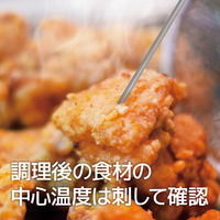 カスタム ブローブ付き防水デジタル放射温度計 CT-360WP 1台