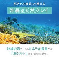 デイリーディライト マイルドボディースクラブ（ボタニカルハーブ）160g グローバルプロダクトプランニング