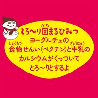伊藤園 チチヤス ヨーグルチェいちごヨーグルト味 希釈 340ml 1セット（24本）