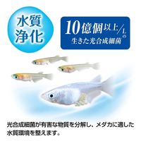 メダカ元気 育てるPSBウォーター 国産 1L 1個 ジェックス