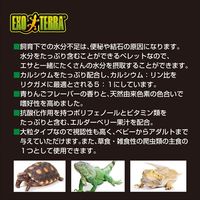 エキゾテラ RepDeli リクガメブレンドフード 900g 1個 ジェックス