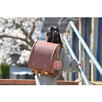 【防犯用品】アスカ プリンセス防犯ブザー　ポンポン　ピンク GE084P 1個