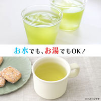 伊藤園 お～いお茶 HOME MADE緑茶 470ml（希釈タイプ）1セット（48本）