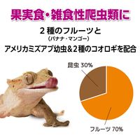 エキゾテラ RepDeli フルーツ＆バグペースト プロテインプラス 国産（2.5g×10本）1個 ジェックス 爬虫類用 餌