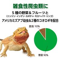 エキゾテラ RepDeli ベジミックスペースト バグプラス 国産（5g×6本）1個 ジェックス 爬虫類用 餌