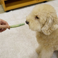 ドギーマン ホワイデント 激かみ！歯みがきガム グリーン スティック L 中型・大型犬向き 10本 1袋 犬用 おやつ 歯磨き