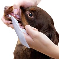 ドギーマン ふきふき 歯ピカ 犬猫用 45枚入 1個 ドギーマンハヤシ