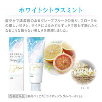 ライオン Lighteeハミガキ ホワイトローズミント 53g 210217 1個(53G)×3（直送品）