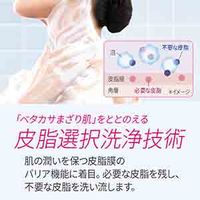 ビオレ ザ ボディ ととのい肌 ウッディ＆フローラル 詰め替え 440ml 花王 (泡タイプ)