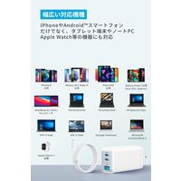 Anker Anker PowerPort ＩＩＩ 3ーPort 65W Pod CtoC B2667N22 1本