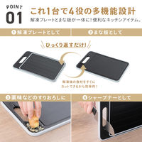 武田コーポレーション 解凍プレート付き多機能まな板M KPSMM 1箱(10個入)（直送品）