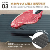 武田コーポレーション 解凍プレートL KPL-BK 1箱(36個入)（直送品）