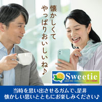 スウィーティガム 20個 ロッテ ガム