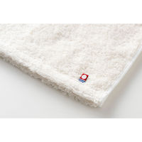 スタイレム瀧定大阪 今治産フェイスタオル OFE1030 1個（直送品）