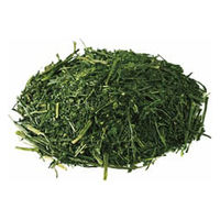 シャディ ツインバード お茶ひき器 緑茶美採 24-8333-080 1箱（直送品）