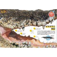 シャディ 学研の図鑑LIVE新版 昆虫・危険生物・恐竜3冊セット 25-0262-127 1箱（直送品）