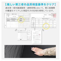 武田コーポレーション クイックシェード 140 ブラックコーティング LN-O-140SBIV 1箱(10個入)（直送品）