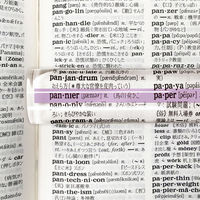 共栄プラスチック カラーバールーペ 15cm ライトラベンダー CBL-700-LL 1セット(1本×2)（直送品）