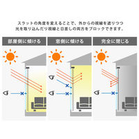ホームテイスト アルミブラインド 幅148×高さ183cm アイボリー SH-29-TAB148-183 1個（直送品）