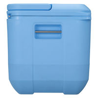 コールマン コールマンプロ/17QT(デイドリーム) 2218852 1個（直送品）