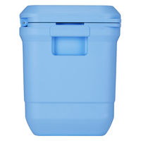 コールマン コールマンプロ/25QT(デイドリーム) 2218854 1個（直送品）