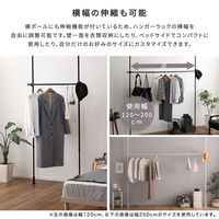 ホームテイスト つっぱりハンガーラック １段 幅200cm ホワイト SH-29-TTHM-1 1個（直送品）