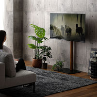 ホームテイスト 八角壁寄せテレビスタンド ハイタイプ専用 ハードディスクホルダーセット シャビーオーク OTGT-H-SET 1台（直送品）