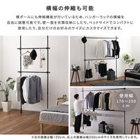 ホームテイスト つっぱりハンガーラック 2段 幅250cm ホワイト SH-29-TTHL-2 1個（直送品）