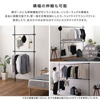 ホームテイスト つっぱりハンガーラック 2段 幅200cm ブラック SH-29-TTHM-2 1個（直送品）