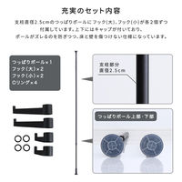 ホームテイスト つっぱりポールハンガー フック大小2個セット ブラック SH-29-TTN2 1台（直送品）