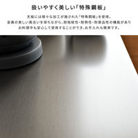 ホームテイスト 特殊鋼板を使ったキッチンカウンター ドアタイプ 幅800×奥行440×高さ850mm ナチュラル SH-22-KD80 1台（直送品）