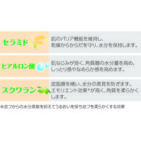 【からだふき】オオサキメディカル お肌うるおうからだふきぬれタオル 超大判・超厚手 ふた付 保湿 清拭  1ケース（12パック入）