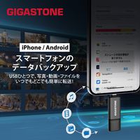 GIGASTONE USBメモリ 64GB USB3.2 2in1 OTG GJU3-AC44GY-64GB-1pk-R 1枚