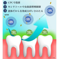 ロングスピンゼロ　ノンアルコール　14mL　1箱（100個入）　オキナ（わけあり品）