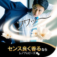 レノア 超消臭 煮沸レベル消臭 抗菌ビーズ MEN メン ムスクの香り 詰め替え 特大 1040mL 1個 抗菌 P＆G