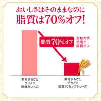 素材まるごとグラノラ 脂質70%オフ 華やぐフルーティショコラ 380g 1袋 日本ケロッグ シリアル