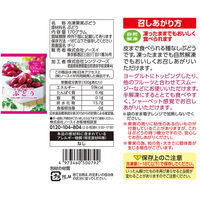 (株)日本アクセス(AB) Delcy 果実シリーズ 5種類 各1個 1セット(5種計5個)（直送品）