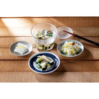 和平フレイズ キッチンアシスト 浅漬けガラス 大 RE-7671 1個（直送品）