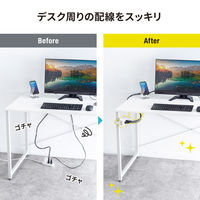 サンワサプライ  電源タップホルダー（支柱取り付けタイプ・ホワイト） TAP-CLAMP2W（直送品）